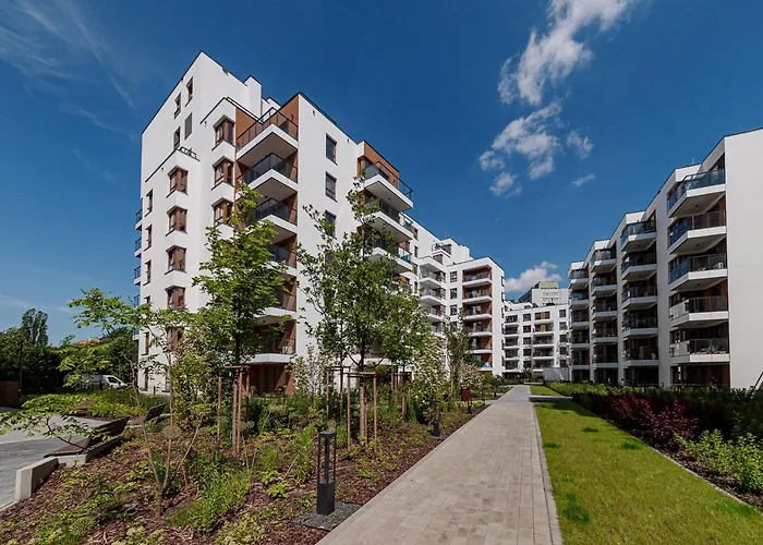 Ludwiki 4D - Studio - Better Rental